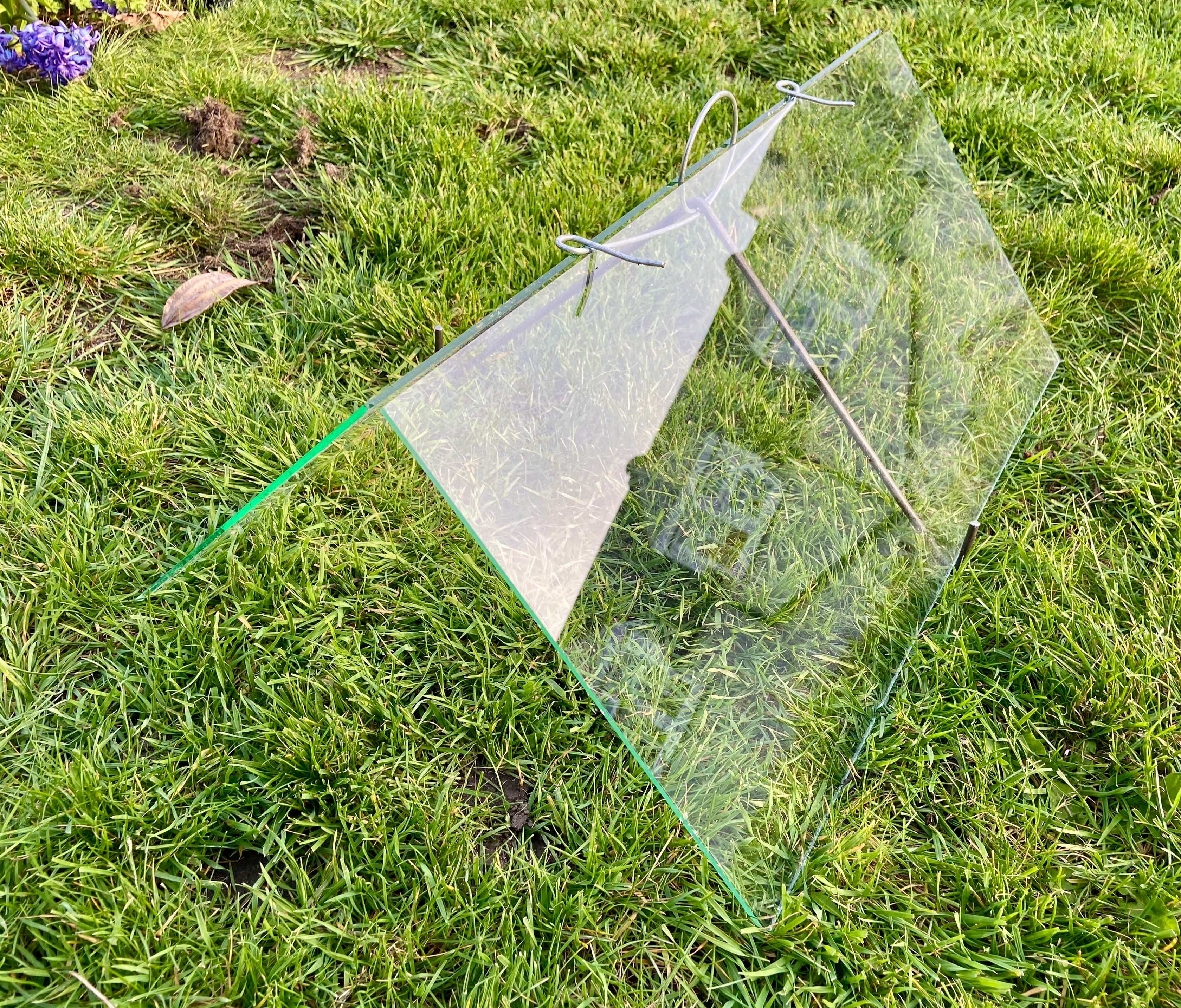 Small glass barn type cloche assembled and sitting on a lawn