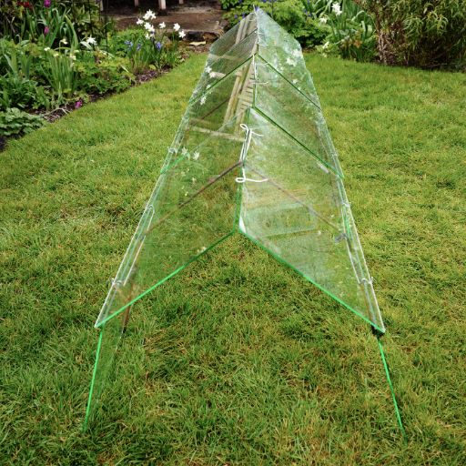 High barn glass cloches on a lawn