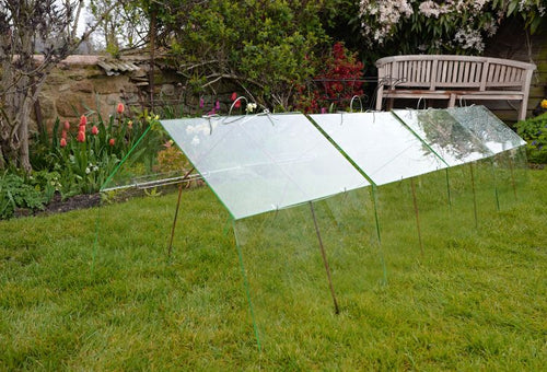 High Barn Glass Cloches in a Row on a Lawn