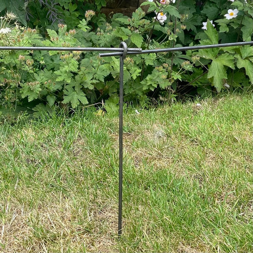 Garden Border Plant Supports - Plant Supports & Garden Cloches