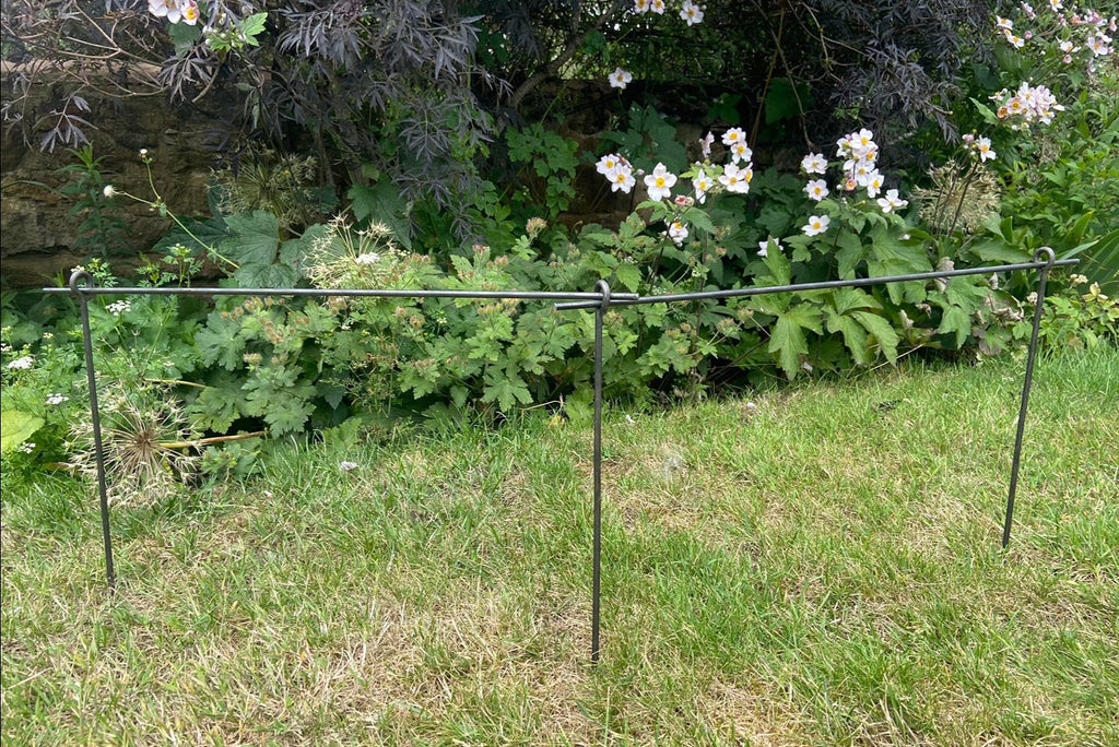Garden Border Plant Supports