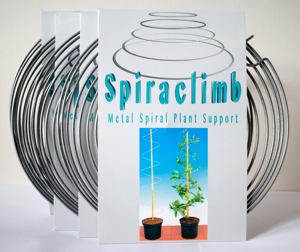 Spiraclimb Plant Support. Expanding Metal Spiral. - Plant Supports & Garden Cloches