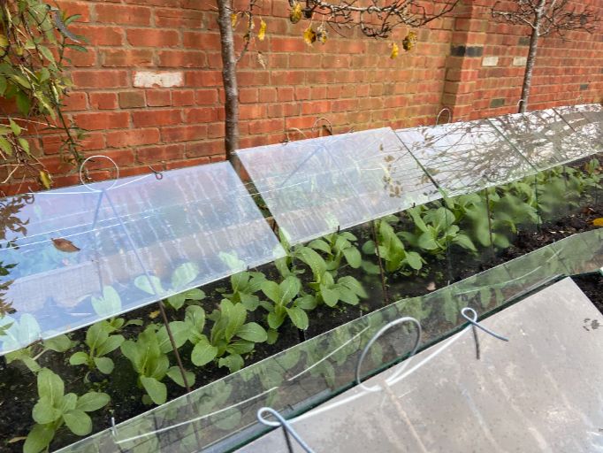 Traditional Cloche Frame Kit - High Barn - with Easy Assembly Support Post. Glass Excluded. - Plant Supports & Garden Cloches