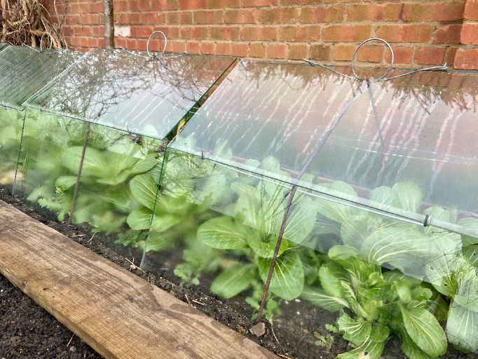 Traditional Cloche Frame Kit - High Barn - with Easy Assembly Support Post. Glass Excluded. - Plant Supports & Garden Cloches