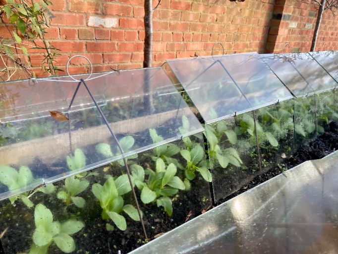 Traditional Cloche Frame Kit - High Barn - with Easy Assembly Support Post. Glass Excluded. - Plant Supports & Garden Cloches