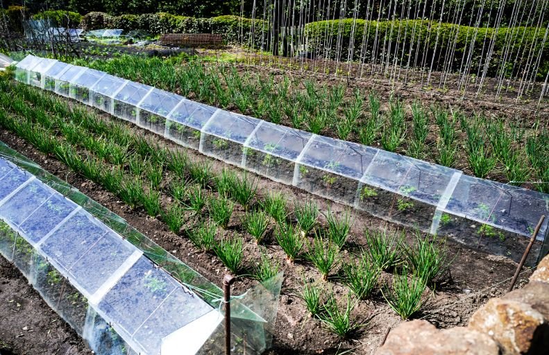 Traditional Cloche Frame Kit - High Barn - with Easy Assembly Support Post. Glass Excluded. - Plant Supports & Garden Cloches